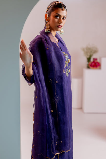 Aabroo Kurta Set with Organza Dupatta