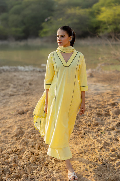 Light Lemon and Grey Kurta set with Jaamdani Dupatta