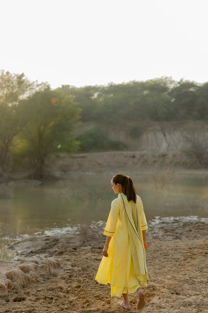 Light Lemon and Grey Kurta set with Jaamdani Dupatta