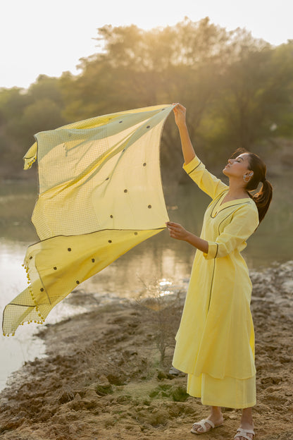 Light Lemon and Grey Kurta set with Jaamdani Dupatta