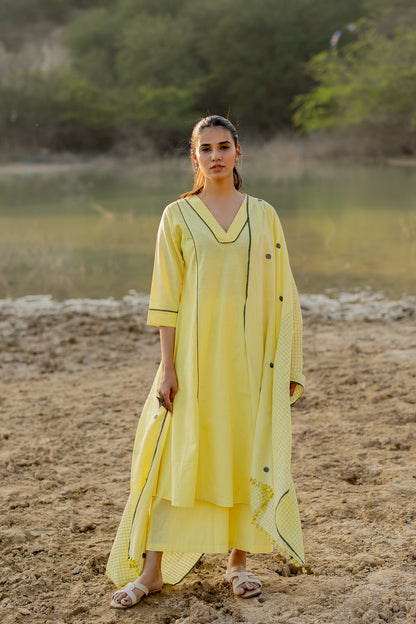 Light Lemon and Grey Kurta set with Jaamdani Dupatta