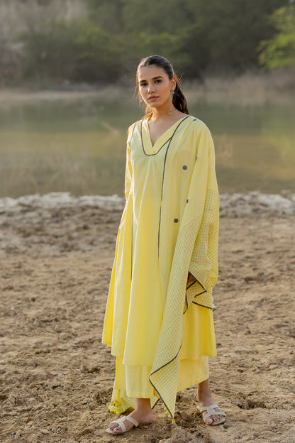 Light Lemon and Grey Kurta set with Jaamdani Dupatta